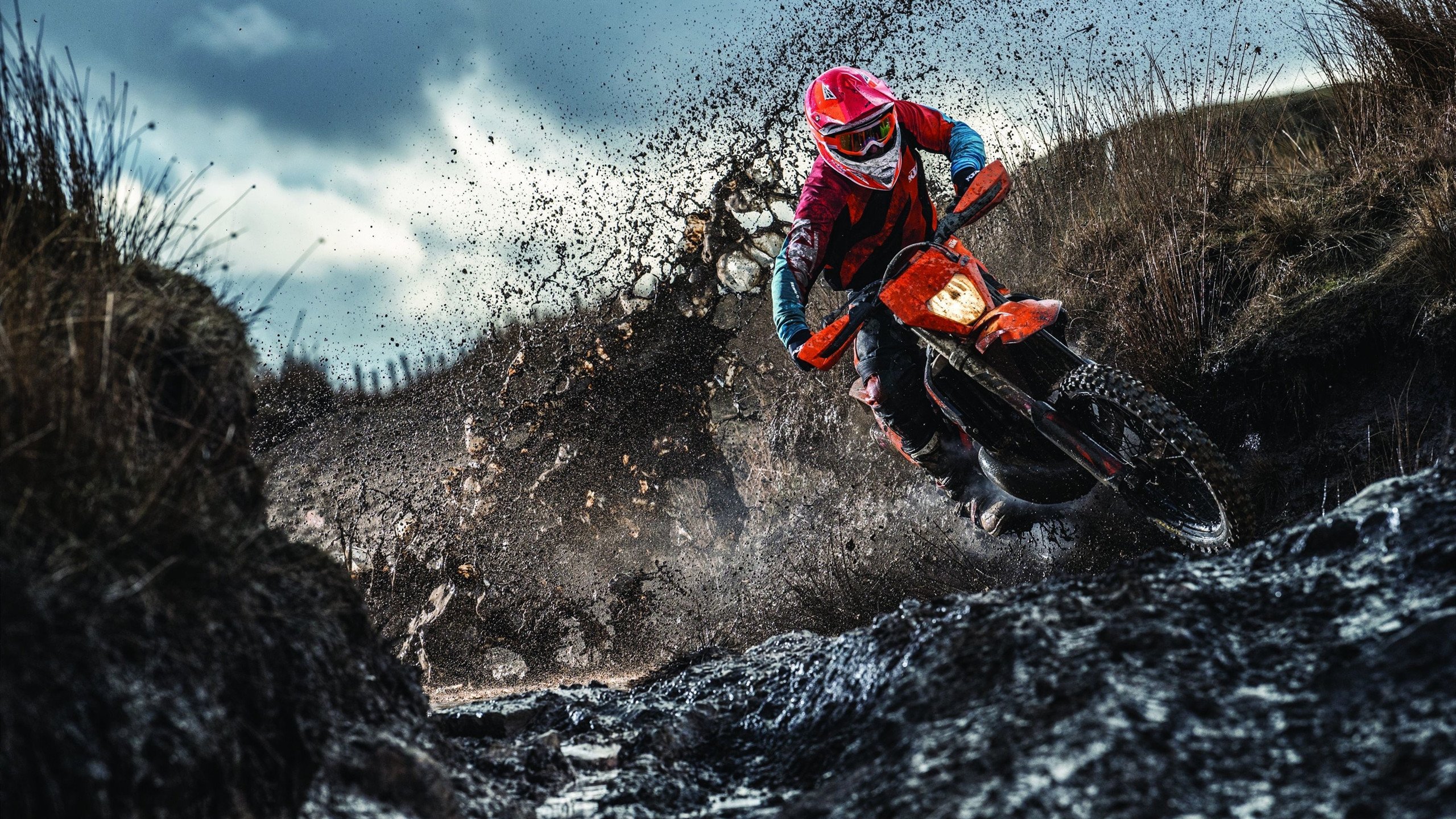 美加墨世界杯焦点战,当灰熊制霸魔术,篮球版图正在裂变